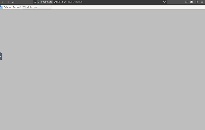 VncDesktopLimitedOptions