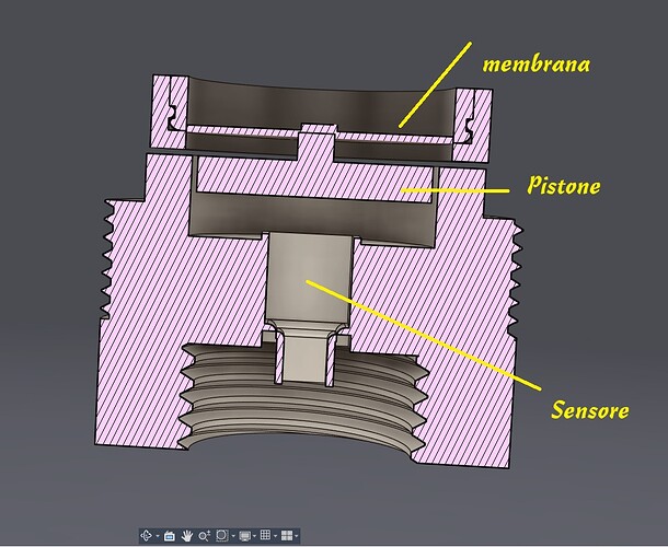 WhatsApp Image 2026-01-27 at 12.56.06