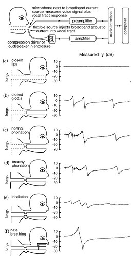 Vocal tract resonance measured via speaker impedance