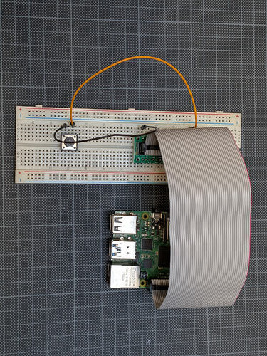 PXL_20260305_140935545