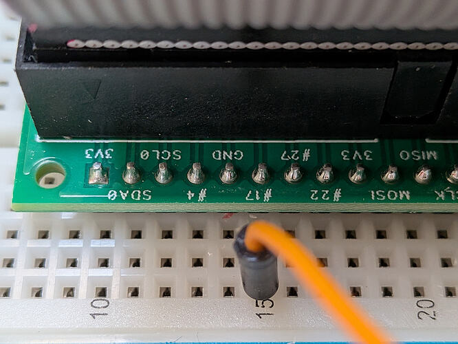 PXL_20260305_141037695.MACRO_FOCUS