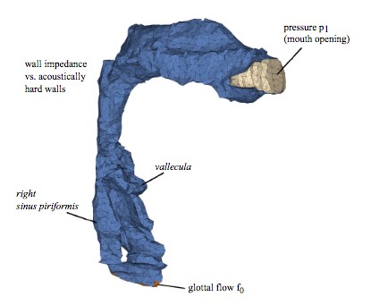 #D Model (CT  scan?) of Vocal Tract